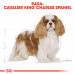 Futter Royal Canin SHN Rasse Cavalier K C 1,5 kg - Fotogalerie 7