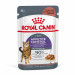 ROYAL CANIN Appetit Control Stücke in Sauce - Nassfutter für Katzen - 12 x 85g - Fotogalerie 1