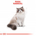 Royal Canin FBN Ragdoll Adult Trockenfutter für Katzen 2 kg - Fotogalerie 8