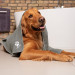 Vileda PET PRO M Mikrofaser-Haustierhandtuch - Fotogalerie 6