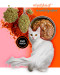 3COTY Turkey with krill Coat support - nassfutter für Katzen - 80g - Fotogalerie 7