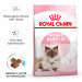 Royal Canin Mother & Babycat 34 Trockenfutter für Katzen 0,4 kg - Fotogalerie 5