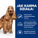 HILL's Prescription Diet Food Sensitivites z/d - Trockenfutter für Hunde - 10 kg - Fotogalerie 5