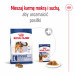ROYAL CANIN Maxi Adult - Trockenfutter für Hunde - 15 kg - Fotogalerie 9
