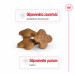 Royal Canin Mini Adult 8+ 8 kg Senior Geflügel, Reis, Gemüse - Fotogalerie 9