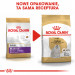 ROYAL CANIN Maltese Adult - Trockenfutter für Hunde - 1,5 kg - Fotogalerie 2