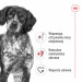 ROYAL CANIN SHN Medium Adult - trockenfutter für Hunde - 15kg - Fotogalerie 10