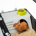 FERPLAST Casita 120 - Käfig für Meerschweinchen und Kaninchen - Fotogalerie 7