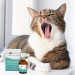 JM SANTE Vet Protector Mundhöhlenspray – Flüssigkeit für die Mundhöhle für Hunde und Katzen - 30 ml - Fotogalerie 2