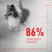 ROYAL CANIN Supplements Dog Skin & Coat Adult - hundevitamine - 240g - Fotogalerie 11