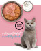 3COTY Turkey - nassfutter für Katzen - 80g - Fotogalerie 8