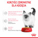 Royal Canin FHN Kitten Instinctive in Gelee - Nassfutter für Kätzchen - 12x85g - Fotogalerie 2