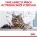 ROYAL CANIN Hair&Skin Care - trockenfutter für Katzen - 4kg - Fotogalerie 5
