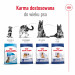 ROYAL CANIN Maxi Adult - Trockenfutter für Hunde - 15 kg - Fotogalerie 6