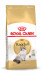 Royal Canin FBN Ragdoll Adult Trockenfutter für Katzen 2 kg - Fotogalerie 9