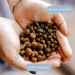 PERRO Turkey with sweet potatoes Medium and large breeds - trockenfutter für Hunde - 12kg - Fotogalerie 4