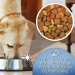 GILPA Super Mix - trockenfutter für Hunde - 15kg - Fotogalerie 2