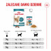 ROYAL CANIN Ageing 15+ - trockenfutter für Katzen - 4kg - Fotogalerie 3
