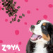 ZOYA ColdPRO Beef - trockenfutter für Hunde - 1kg - Fotogalerie 4