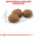 ROYAL CANIN Sterilised37 FHN Adult - trockenfutter für Katzen - 400g - Fotogalerie 4