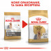 ROYAL CANIN Yorkshire Terrier Adult - Trockenfutter für Hunde - 1,5 kg - Fotogalerie 4