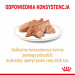 ROYAL CANIN Shih Tzu Adult Nasses Hundefutter Pastete 12x85 g - Fotogalerie 5