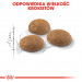 ROYAL CANIN Outdoor Adult - trockenfutter für Katzen - 400g - Fotogalerie 7