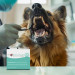 JM SANTE Pro Oral Cavity – Gums - zahnmedizinische lösung zur mundhygiene für hunde und katzen – 10×3 ml - Fotogalerie 3