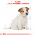 Royal Canin SHN Breed Jack Russell Junior - Trockenfutter für Hunde Geflügel, Reis - 3 kg - Fotogalerie 8