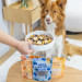 PERRO Mix & Match Pumpkin - leckerli für hunde - 10g - Fotogalerie 2