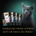 SHEBA Sauce Collection Sammlung von Fischaromen – Nassfutter für Katzen – 40 x 85 g - Fotogalerie 14