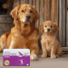 JM SANTE Multiway Vet Duocaps Osteo - twist-off kapseln für gelenke bei hunden und katzen – 60 stück - Fotogalerie 2