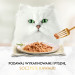 PURINA Gourmet Gold Succulent Delights Beef - Nassfutter für Katzen - 85g - Fotogalerie 10