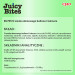 INABA Juicy Bites Homestyle broth and Calamari - Katze behandeln - 3x11,3 g - Fotogalerie 2