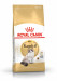 ROYAL CANIN Ragdoll FBN Adult - trockenfutter für Katzen - 400g - Fotogalerie 1