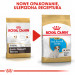 Royal Canin SHN Breed Jack Russell Junior - Trockenfutter für Hunde Geflügel, Reis - 3 kg - Fotogalerie 4
