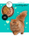 3COTY Chicken with duck - nassfutter für Katzen - 12x80g - Fotogalerie 16