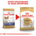 ROYAL CANIN BHN Chihuahua Adult Trockenfutter für Hunde - 1,5 kg - Fotogalerie 2