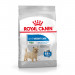 Royal Canin CCN MINI LIGHT WEIGHT CARE - Trockenfutter für ausgewachsene Hunde - 3kg - Fotogalerie 1