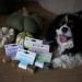 PAKA ZWIERZAKA Pepe Vet Healthy Joints - Hundeleckerli - 3x13,5 cm - Fotogalerie 2