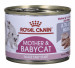 Royal Canin BABYCAT INSTINCTIVE - Nassfutter für Katzen - 195 g - Fotogalerie 13