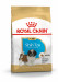 ROYAL CANIN Shih Tzu Puppy - Trockenfutter für Hunde - 1,5 kg - Fotogalerie 1