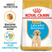 ROYAL CANIN SHN Breed Labrador Junior Trockenfutter für Hunde - 12 kg. - Fotogalerie 9