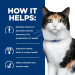 HILL'S Prescription Diet Thyroid Care Feline y/d - Katzenfutter für Katzen mit Schilddrüsenerkrankungen - Dose 12x156g - Fotogalerie 5