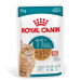 ROYAL CANIN Ageing 11+ Chunks in gravy - nassfutter für Katzen - 12x85g - Fotogalerie 4