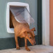 FERPLAST Swing 11 grey - Hundetürchen und Katzentürchen - 31 x 9,6 x 38,4 cm - Fotogalerie 3
