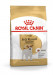 ROYAL CANIN Jack Russell Adult - Trockenfutter für Hunde - 7,5 kg - Fotogalerie 9