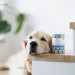 PERRO Gourmet Horse meat with parsley root - Nassfutter für Hunde - 800g - Fotogalerie 2