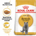 ROYAL CANIN FBN British Shorthair Adult Trockenfutter für Katzen - 10 kg - Fotogalerie 4