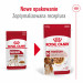 ROYAL CANIN SHN Medium Adult in Sauce - Nassfutter für ausgewachsene Hunde - 10x140g - Fotogalerie 2